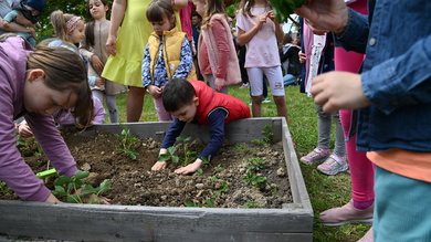 ’Little Gardeners’ Again at the University Campus