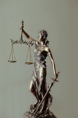 /uploads/attachment/vest/15549/law.jpg