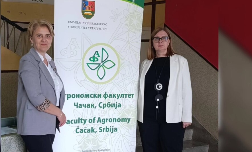 Participation in an international symposium