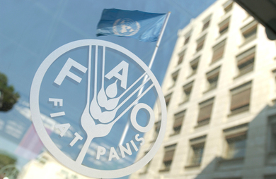 Vlada Mađarske i FAO: Stipendije za master studije