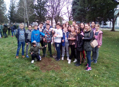 Студенти засадили стабла ораха
