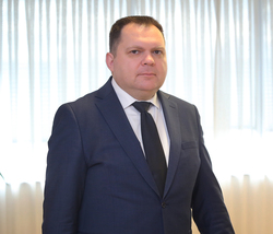 проф. др Жељко Будимир