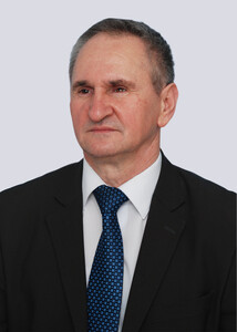 проф. др Ненад Стојановић