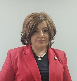 Nina Sajić